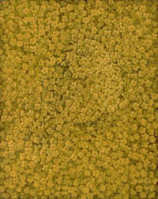 ������� ������������ �� ��������