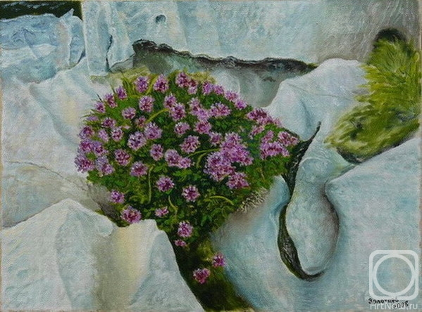 ������� ������ �� ������. �������� �������. ��������� �����