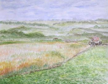Rural landscape with a tractor. Lizlova Natalija