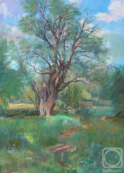 �������. �������� ������. ������ �����