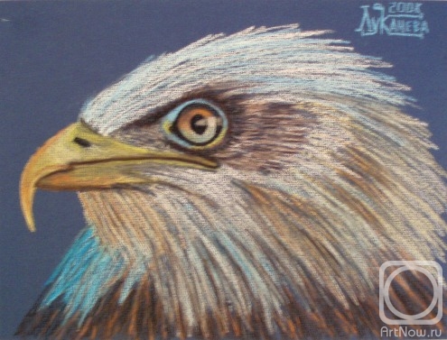 �������. �������� ������. ������� �� �����