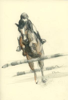 In the jump (Show Jumping). Shulga Oksana