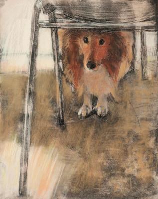 Do you want to brush me