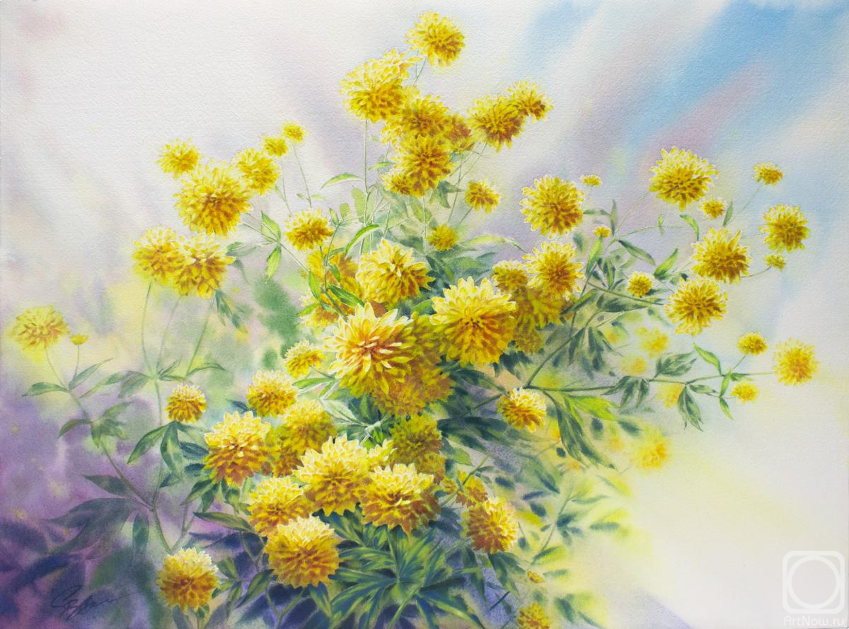 �������. �������� ������. ������� ����