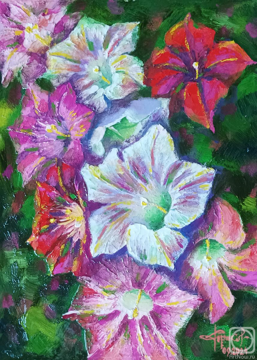 �������. �������� ������. ����� �������