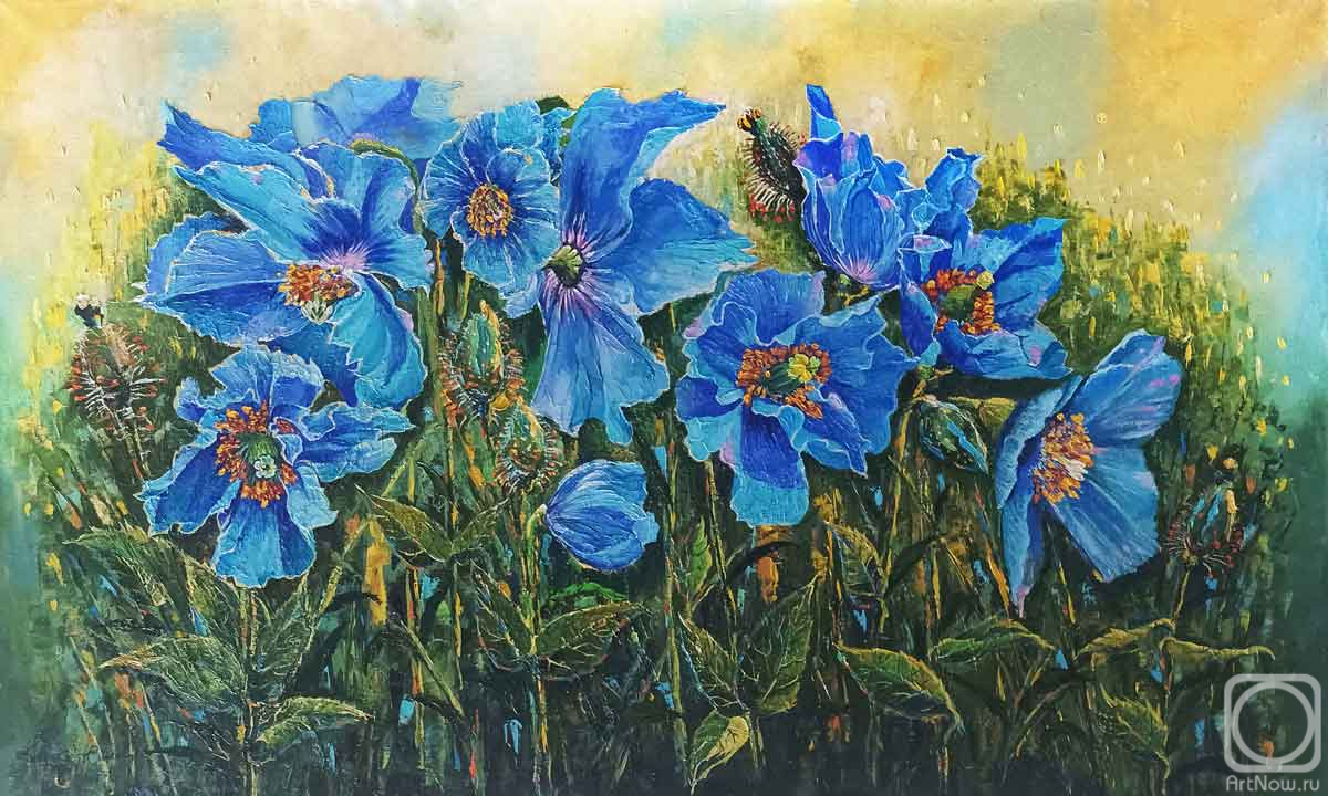 ������� ������ �� ������. �������� ������. ������� ����