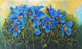 ������� �������� ����