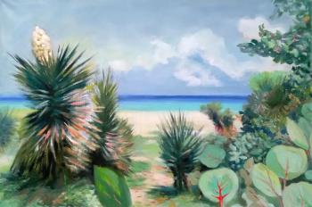 ������� ��� ��������� ������