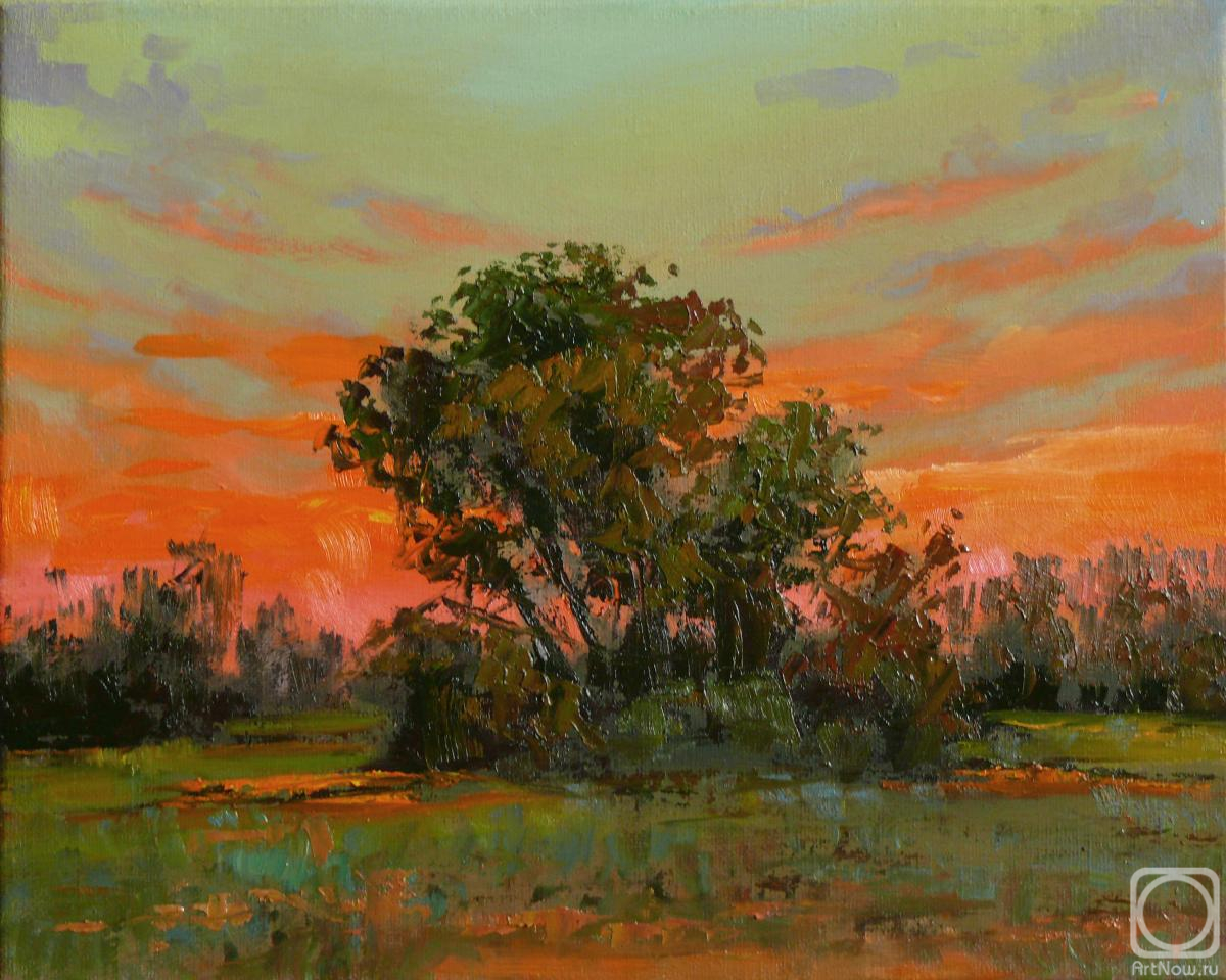 ������� ������ �� ������. ������� ���������. �����