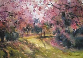 Pink spring. Golovina Tatyana