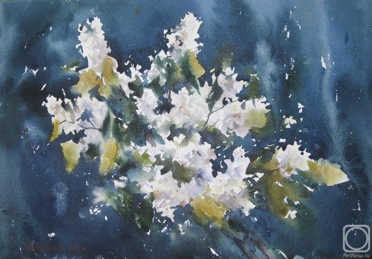 Golovina Tatyana. Bird cherry branches
