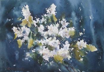 Bird cherry branches. Golovina Tatyana