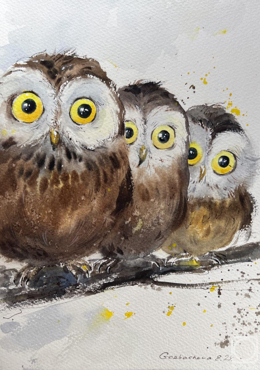 �������. ��������� �������. ����, ���� � �����