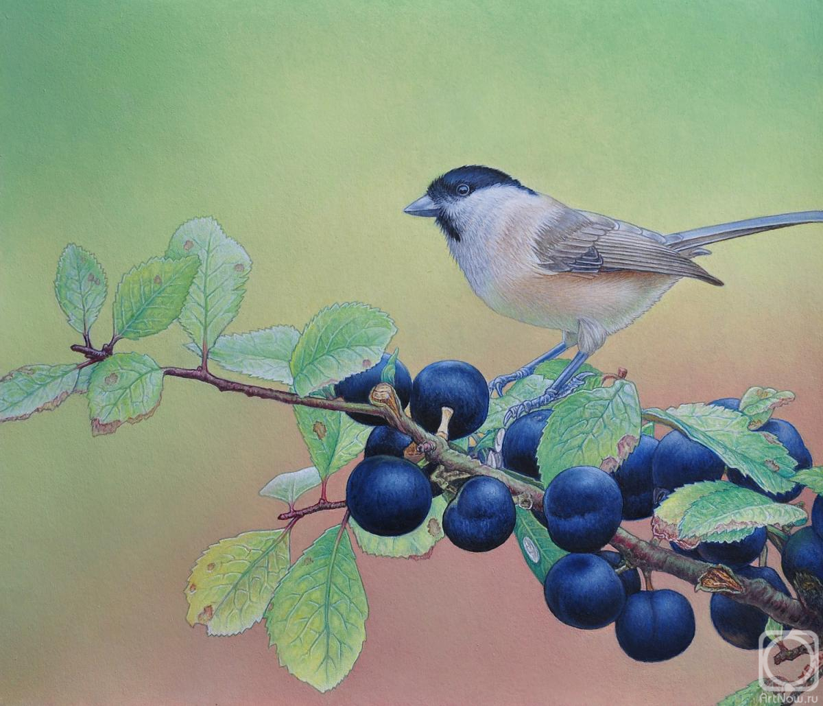 Hrapinskiy Vladimir. A bird on a branch