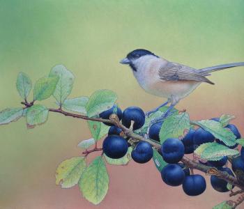 ������� ������ �� �����