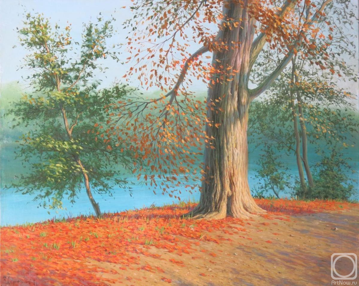 ������� ������ �� ������. ��������� �����. ����� � ����� �����