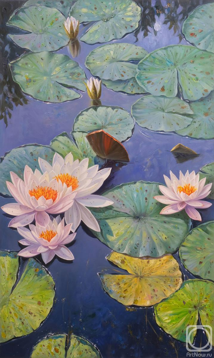 Zhaldak Edward. Water lilies
