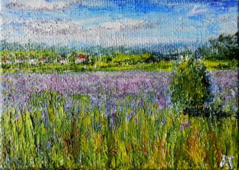 Summer in the Moscow region