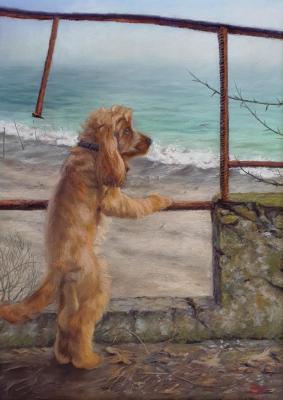 �������� (���������� ��������). ����� ��������