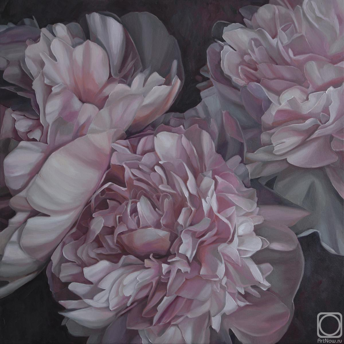 ������� ������ �� ������. ���������� ���������. �������-������� �����