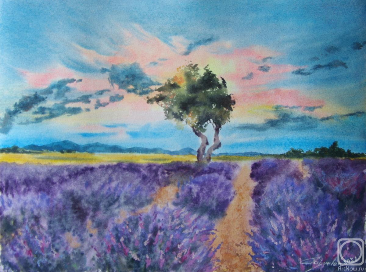 �������. ������������ �����. ���������� ����