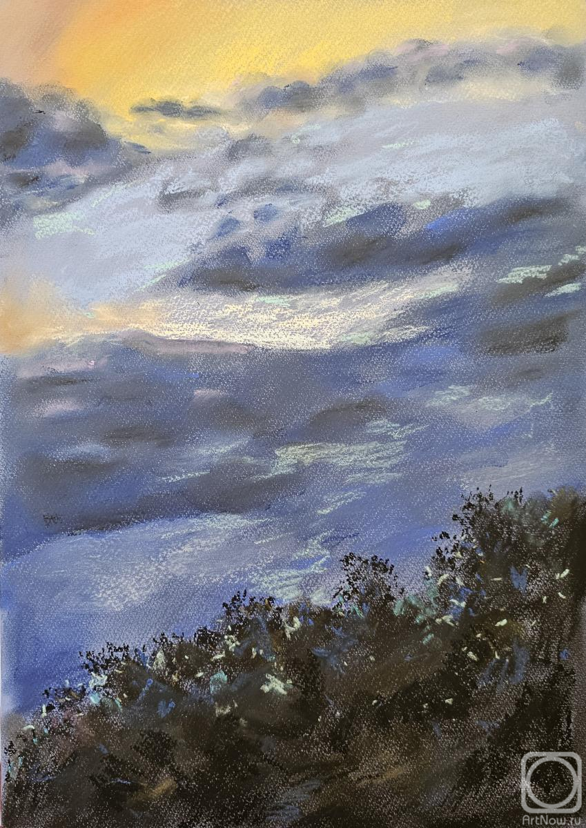 �������. ���� �������. �������� ����