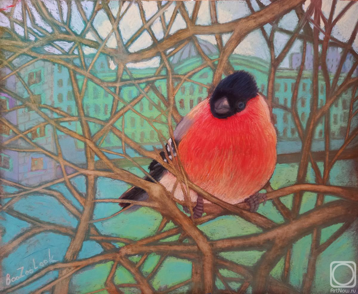 �������. ������� ����. �������