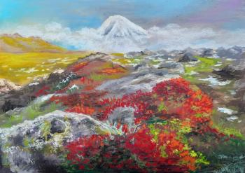 Sopka. Gaygerova Olga