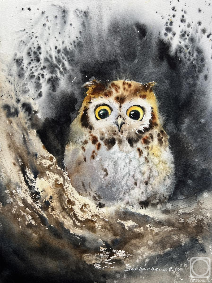 �������. ��������� �������. ������� � ����� 2