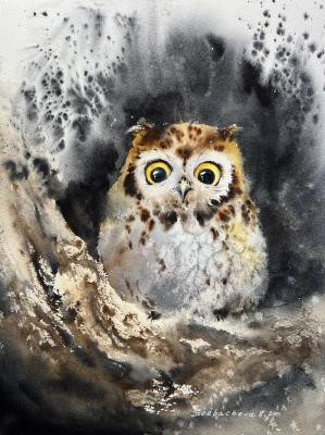 Owl in a hollow #2. Gorbacheva Evgeniya
