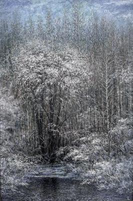 ������� ���� ���������