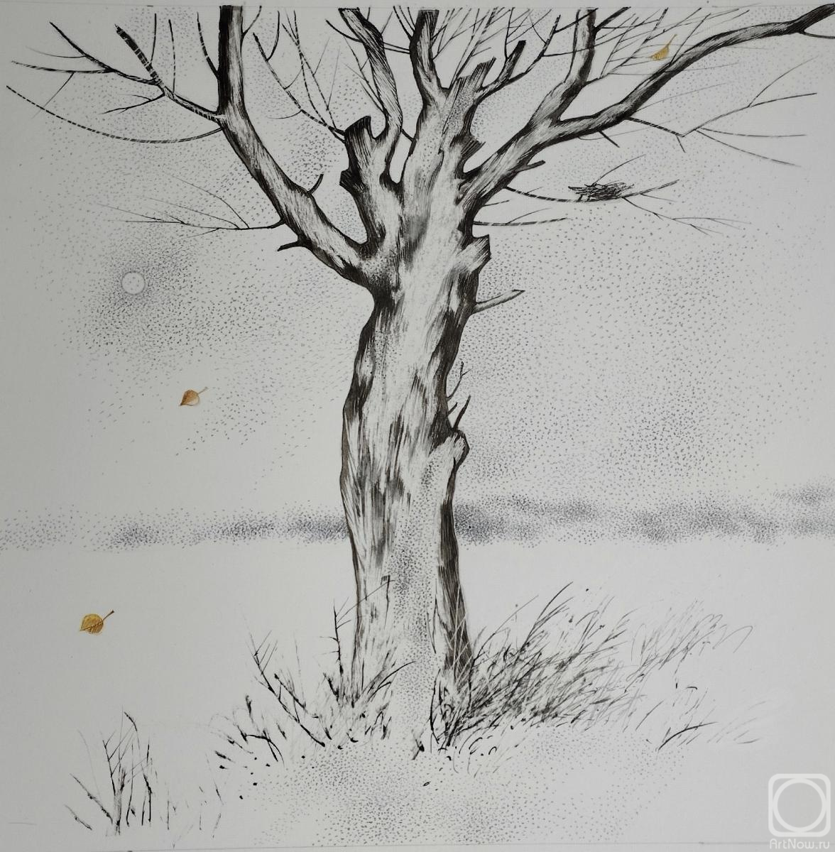 �������. �������� ����. ��������� ������