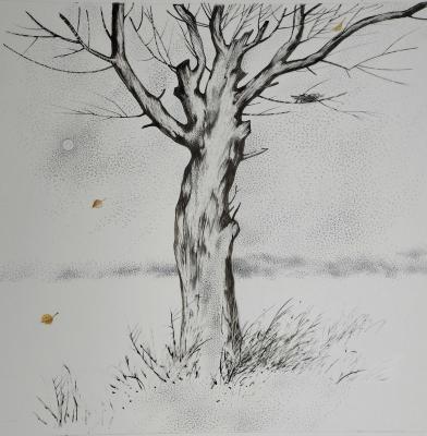 ������� ���������� �������