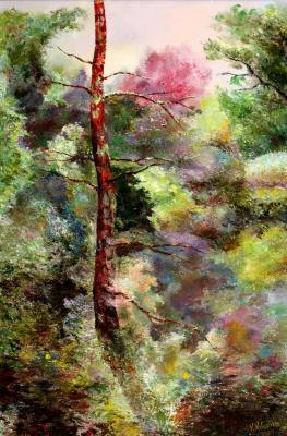Lonely Old Pine. Volosov Vladmir