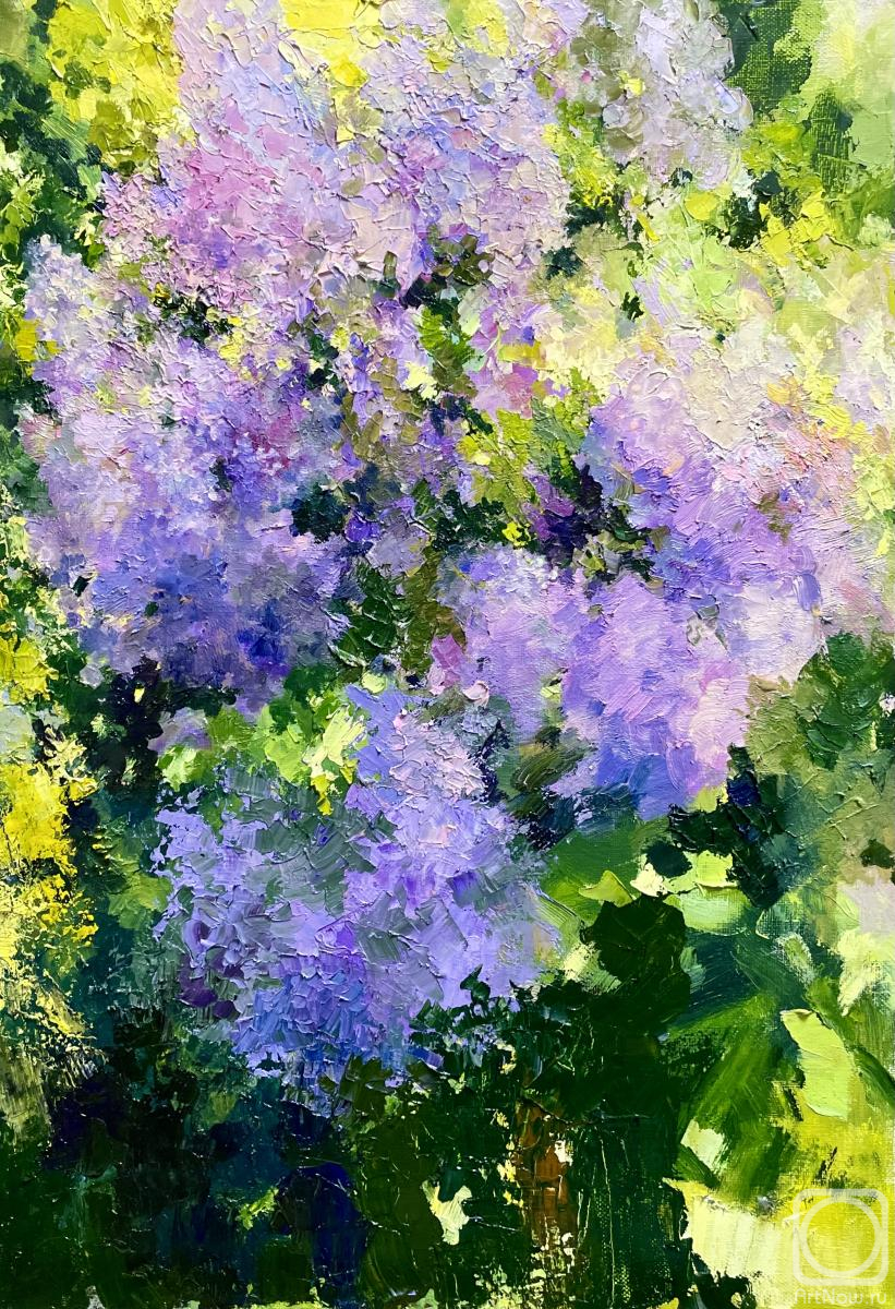 ������� ������ �� ������. ������ �����. ������