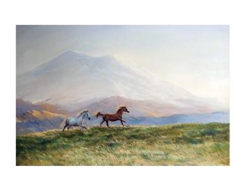 At two peaks. Bronnikova Oksana