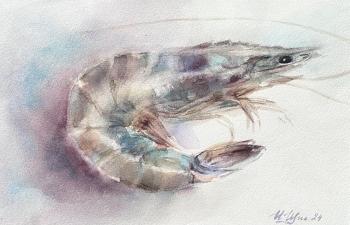 Shrimp. Schipitsyna Irina