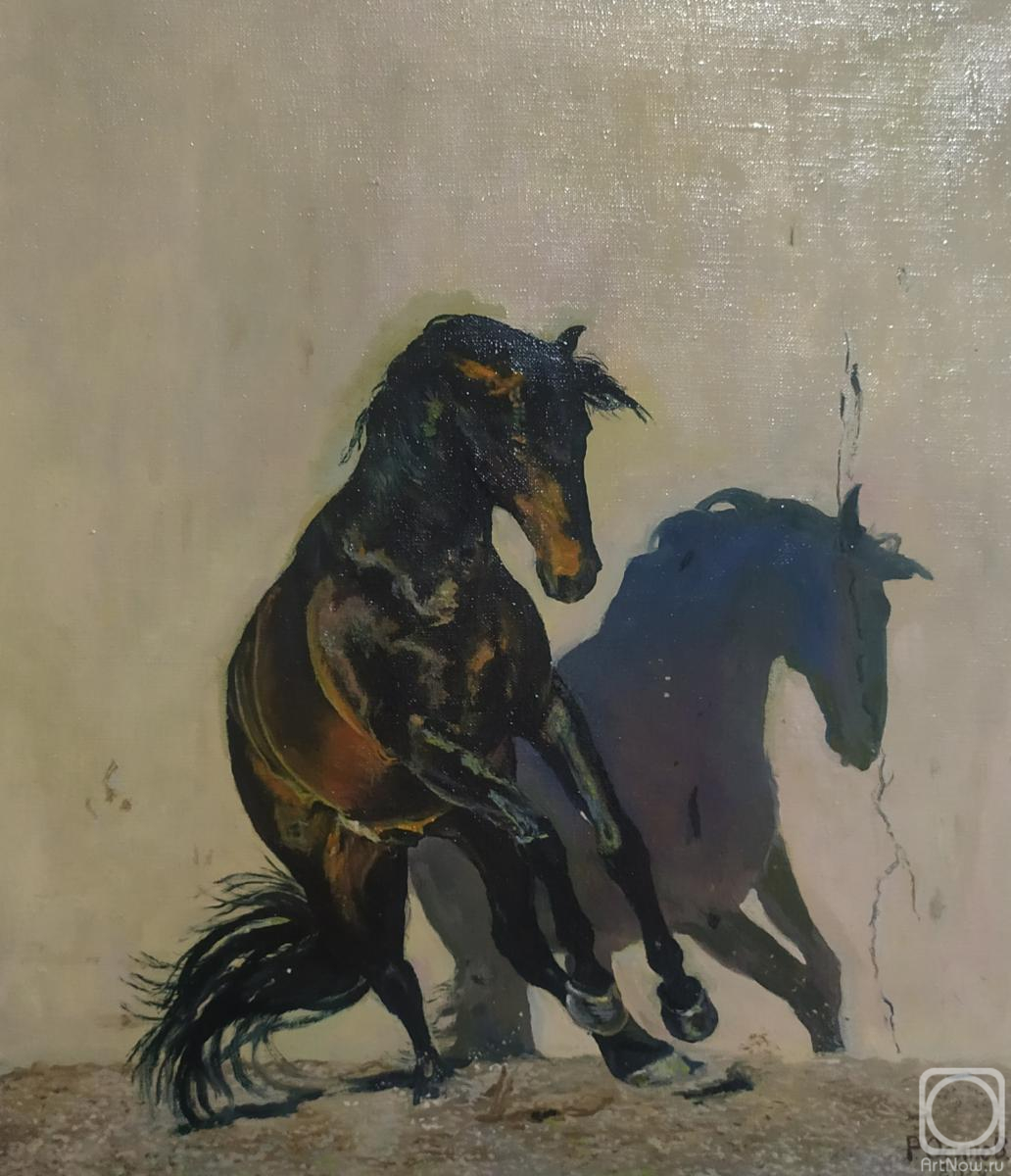 ������� ������ �� ������. ������ �����. ���� �����