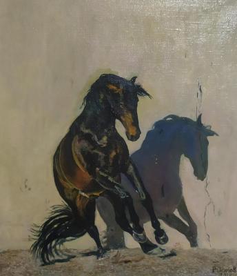 Horse Fire. Osipov Roman