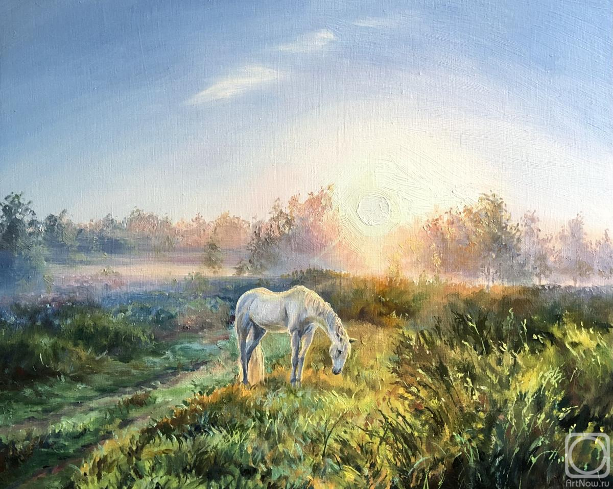 �������. ���������� ������. ������ ����