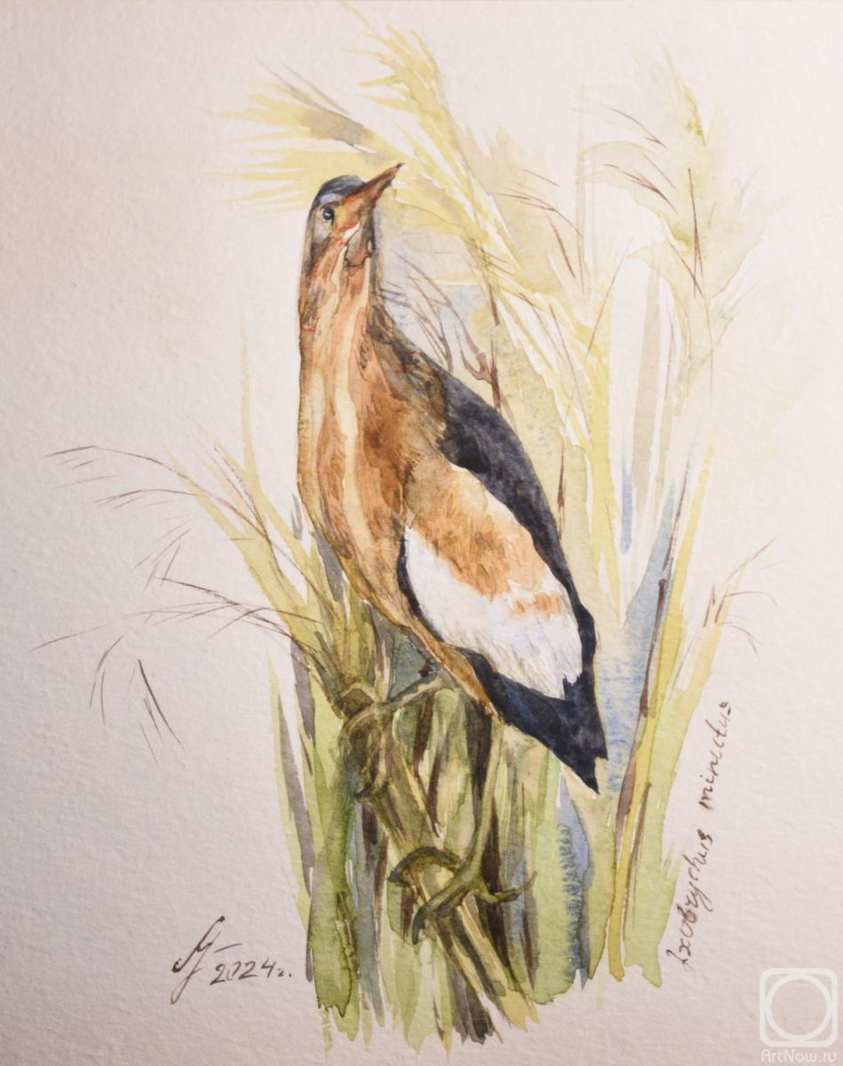 �������. ������� �����. ������