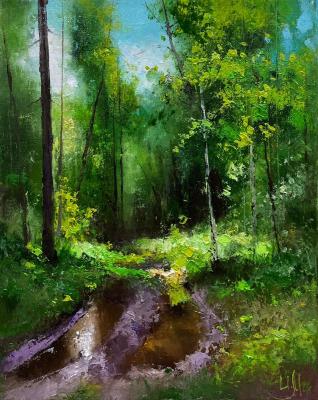 The road to the channel