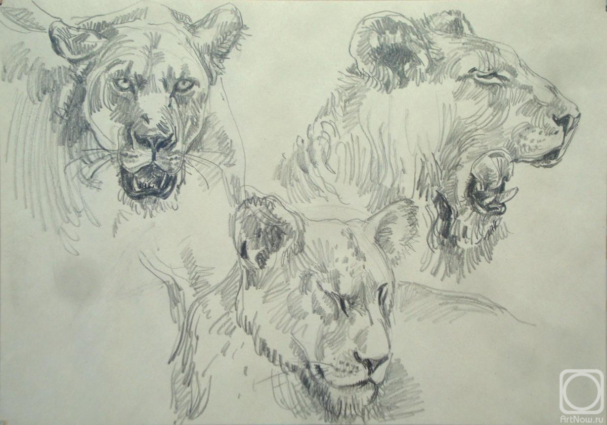 Miroshnikov Dmitriy. Lions 1