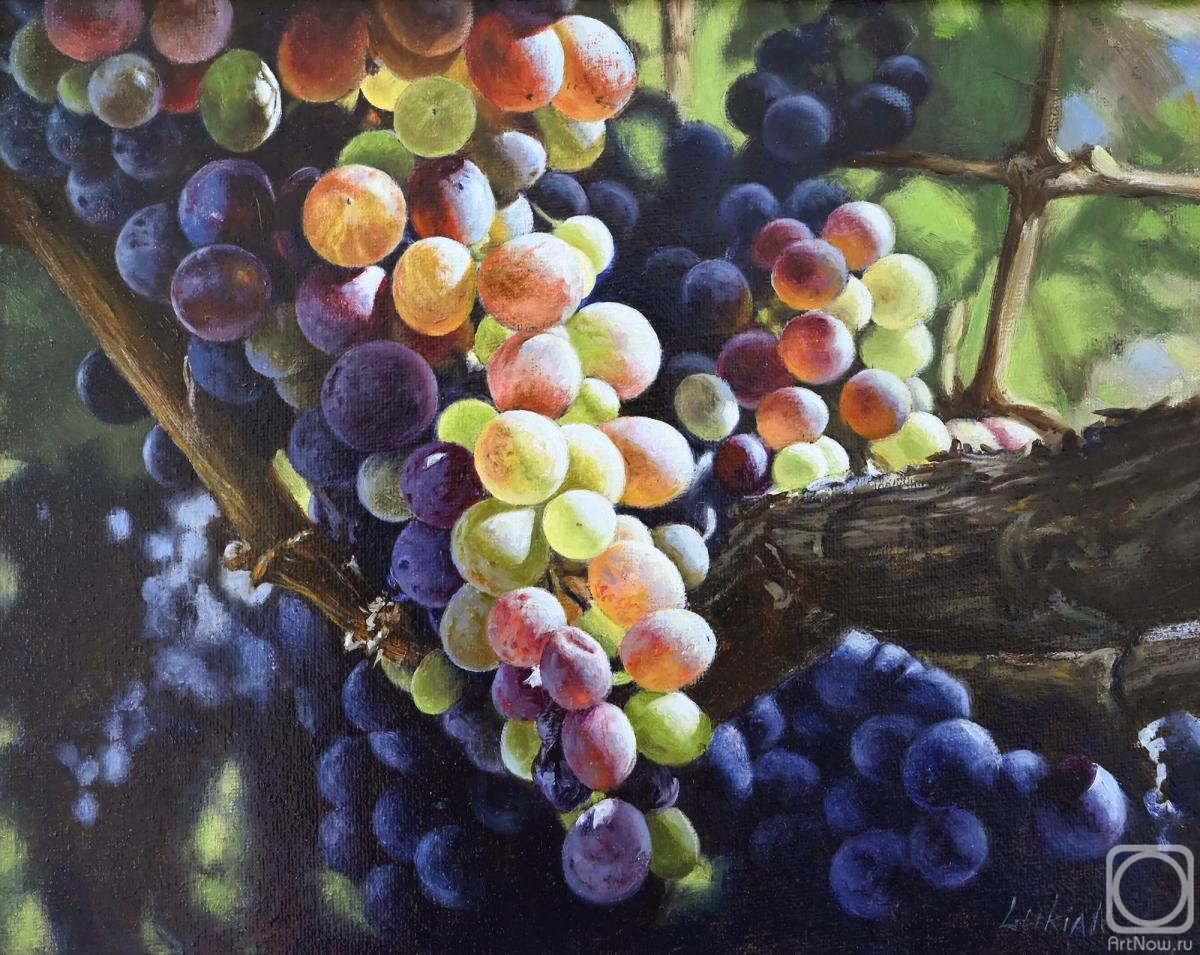 ������� ������ �� ������. �������� �����. ��������