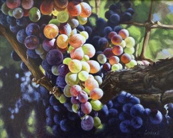 ��������. �������� �����