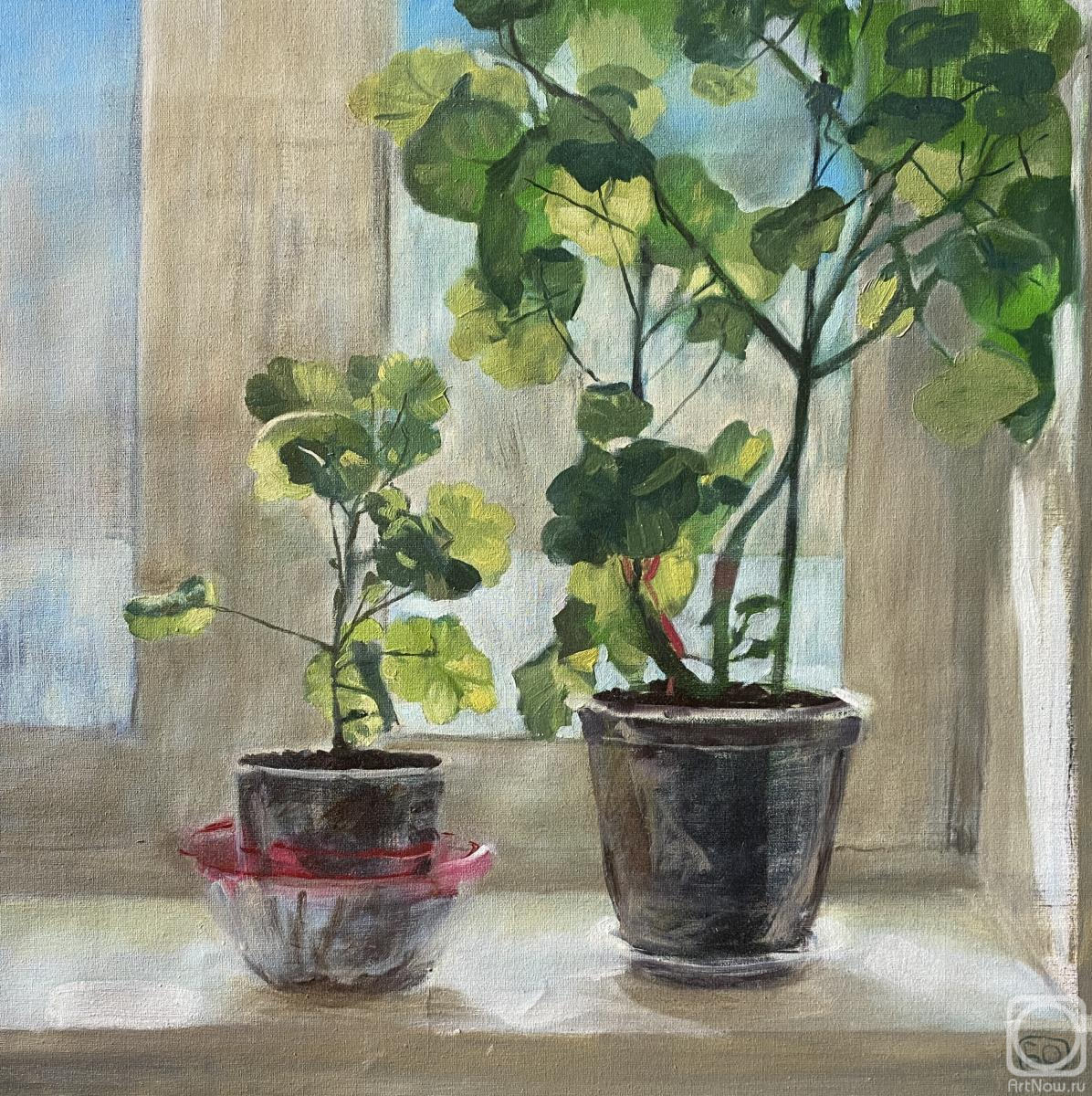 ������� ������ �� ������. �������� �����. ������ �������