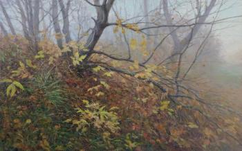 ������� �������� �����