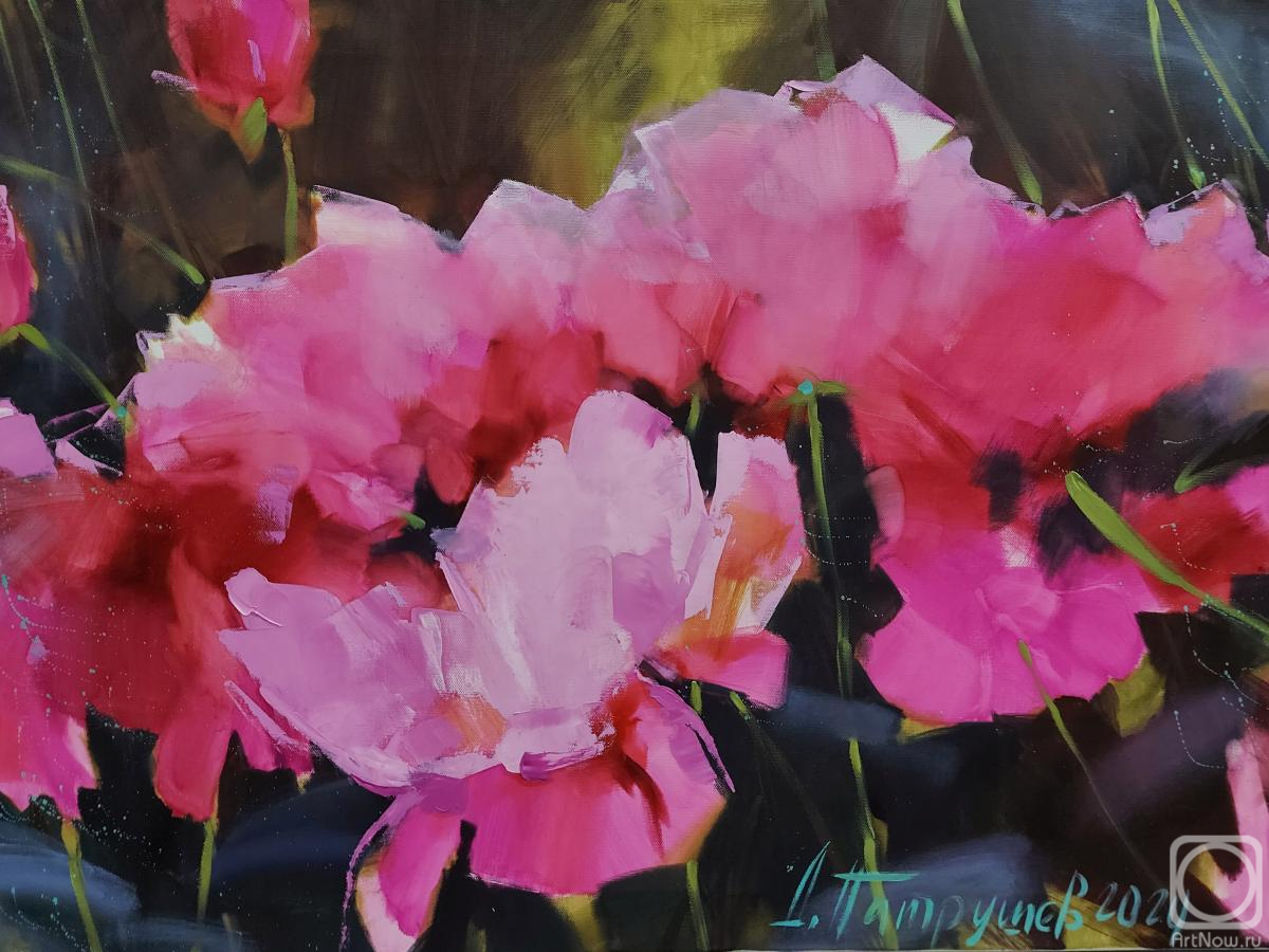 ������� ������ �� ������. �������� �������. ������ �����