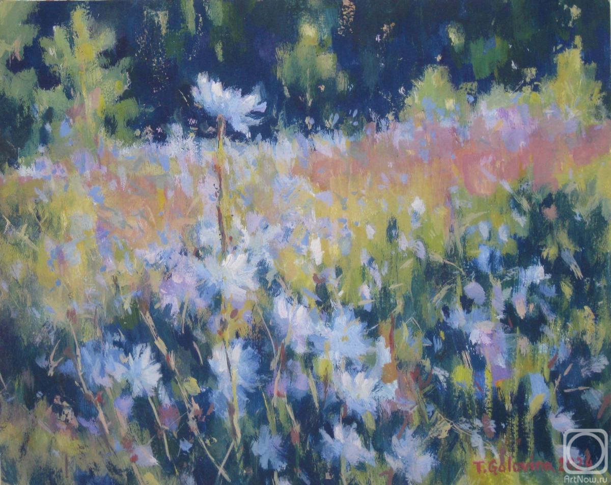 Golovina Tatyana. Chicory