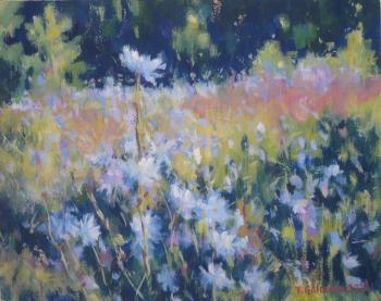 Chicory. Golovina Tatyana